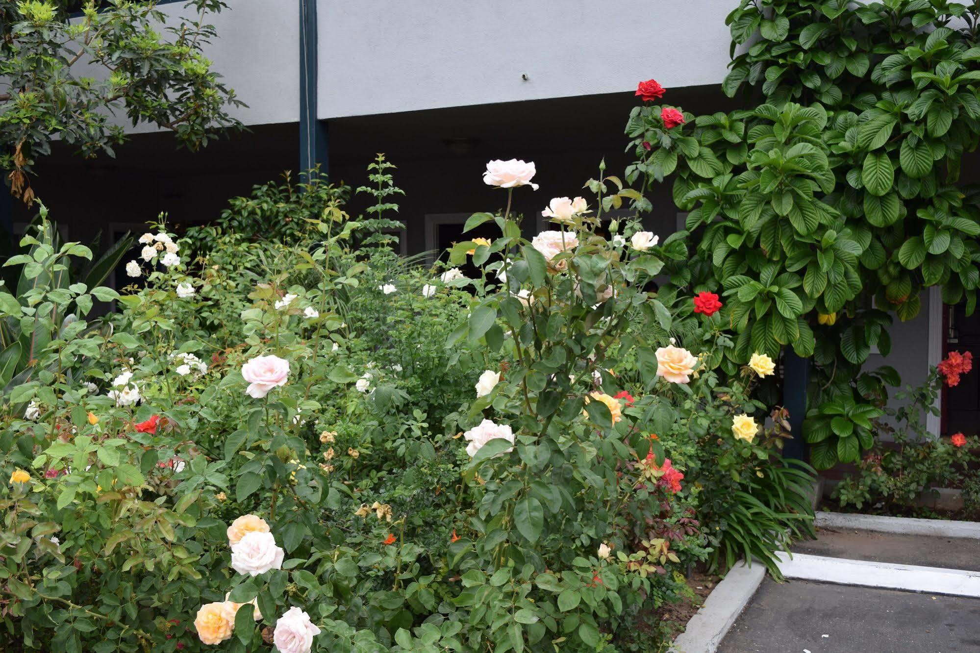 Rose Garden Inn Santa Barbara Exterior photo